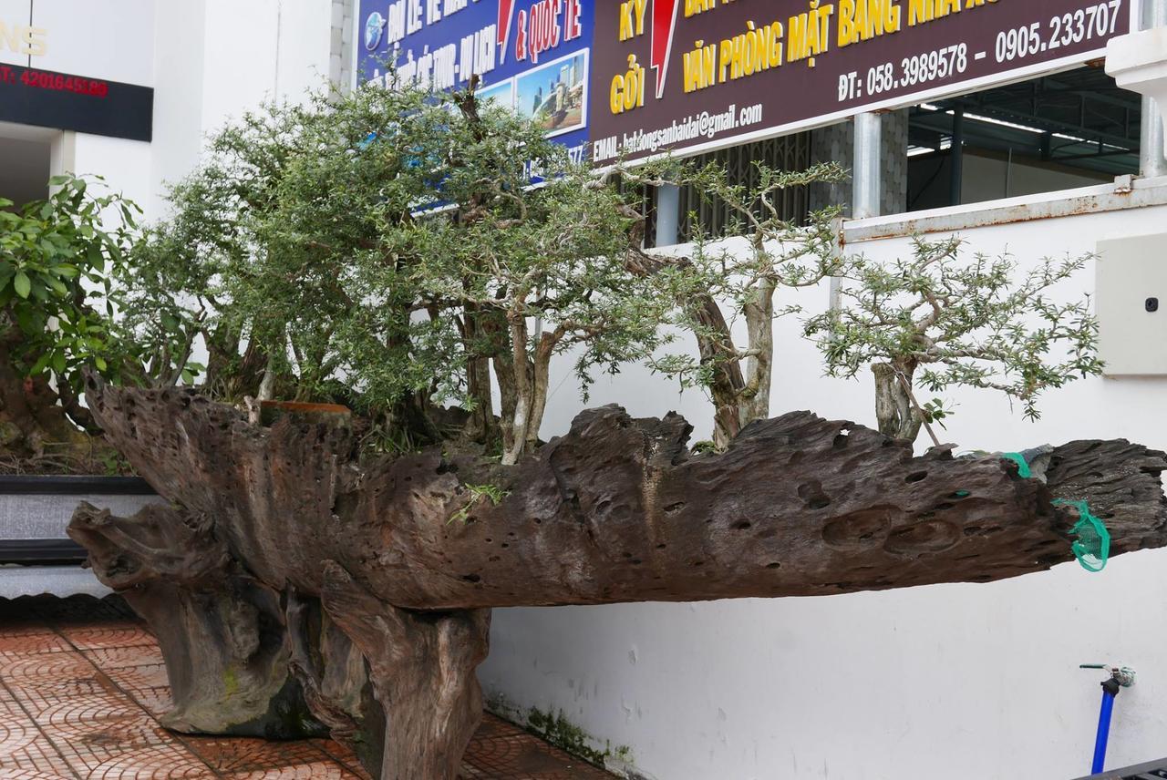 Allure Hotel Thuy Trieu Exteriör bild